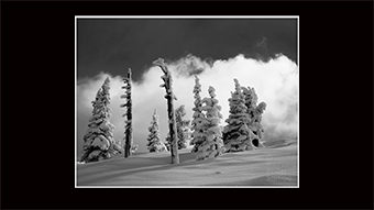 The Richard Philip Soltice Gallery - Trees on Grey Mt. and Fog Bank